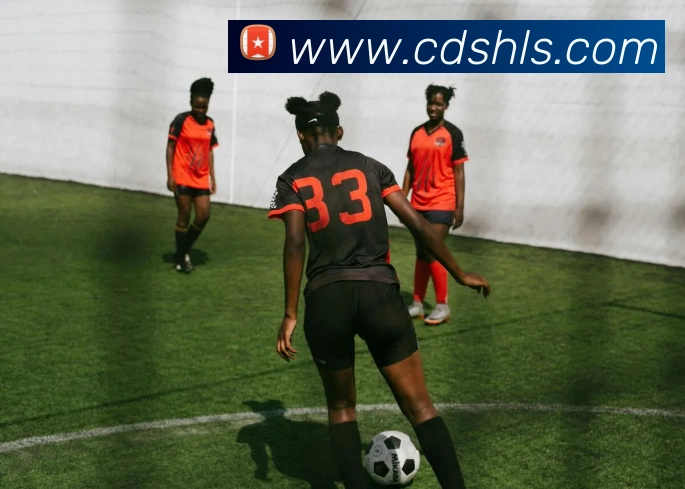 米乐网页版登录官网APP 封面图